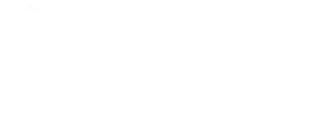 logo Courier Brasil Express