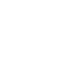 logo Courier Brasil Express